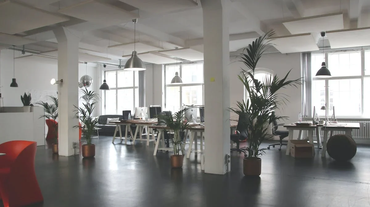 office cleaning